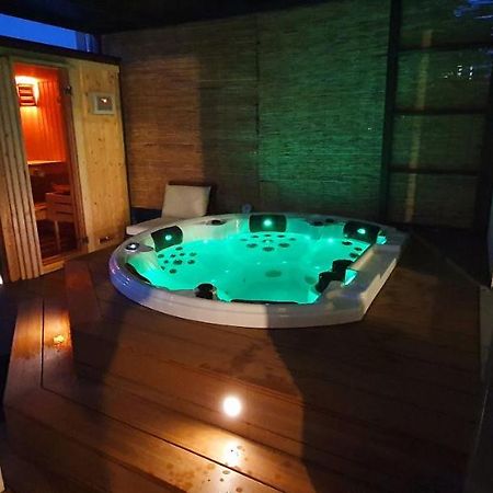 Le Coeur Du Saphir Apartment Thonon-les-Bains Bagian luar foto