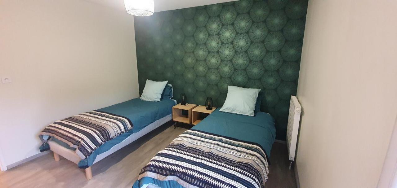 Le Coeur Du Saphir Apartment Thonon-les-Bains Bagian luar foto