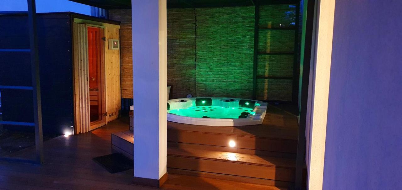 Le Coeur Du Saphir Apartment Thonon-les-Bains Bagian luar foto